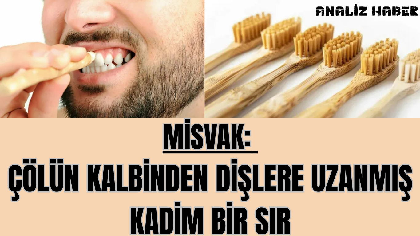 Misvak: Çölün Kalbinden Dişlere Uzanmış Kadim Bir Sır