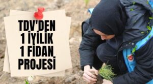 TDV’den Yeşil Seferberlik: “1 İyilik 1 Fidan” Kampanyasıyla 81 İlde Fidanlar Toprakla Buluşuyor