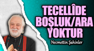 TECELLÎDE BOŞLUK/ARA YOKTUR