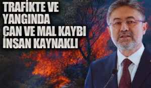 TRAFİKTE VE YANGINDA CAN VE MAL KAYBI İNSAN KAYNAKLI