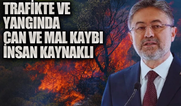 TRAFİKTE VE YANGINDA CAN VE MAL KAYBI İNSAN KAYNAKLI