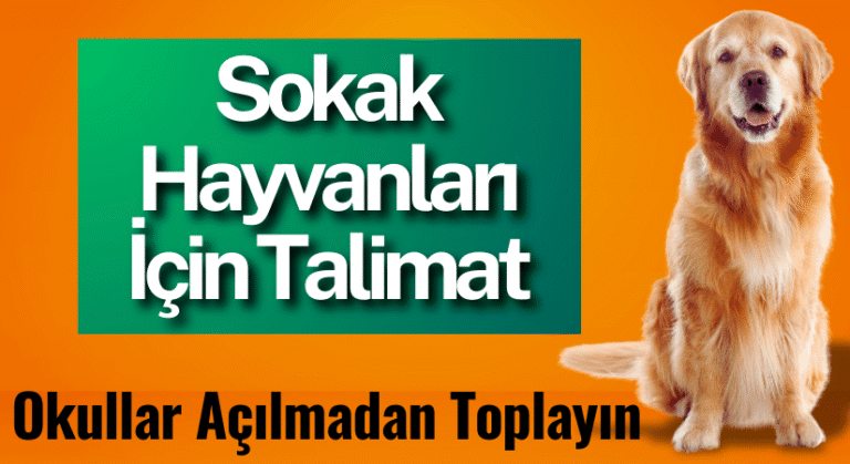 Valilikten, Sokak Hayvanları Toplanacak Talimatı