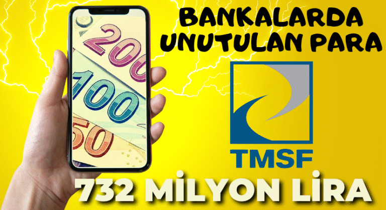 Bankalarda 10 yıl Boyunca Unutulan Milyonlarca Hesap
