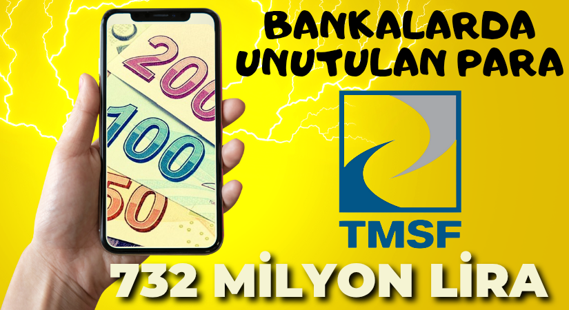 Bankalarda 10 yıl Boyunca Unutulan Milyonlarca Hesap