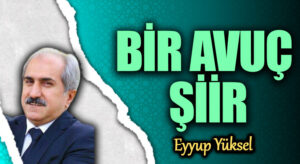 BİR AVUÇ ŞİİR