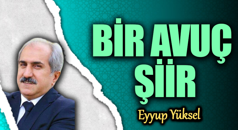 BİR AVUÇ ŞİİR