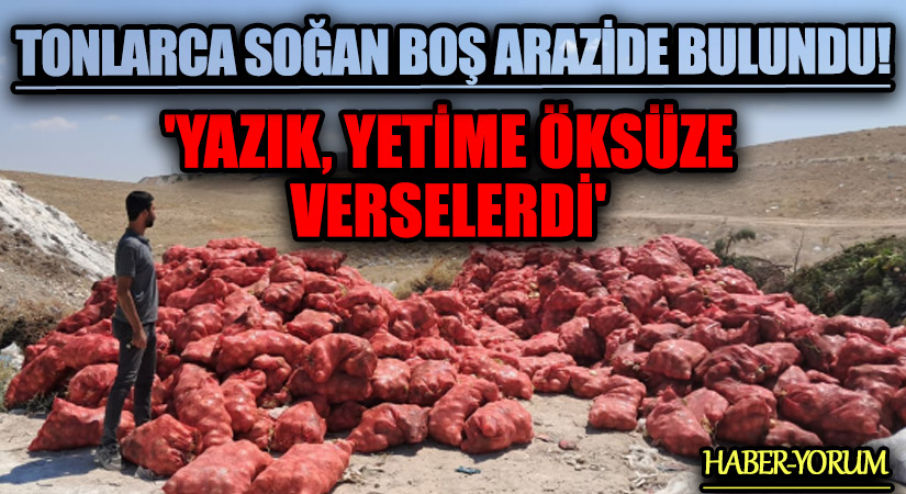 Tonlarca Soğan Boş Arazide Bulundu! ‘Yazık, Yetime Öksüze Verselerdi’