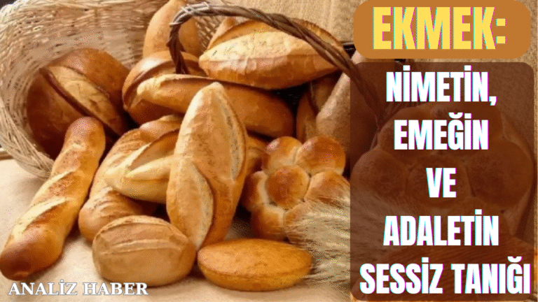 Ekmek: Nimetin, Emeğin ve Adaletin Sessiz Tanığı