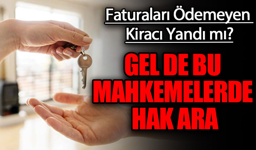 GEL DE BU MAHKEMELERDE HAK ARA