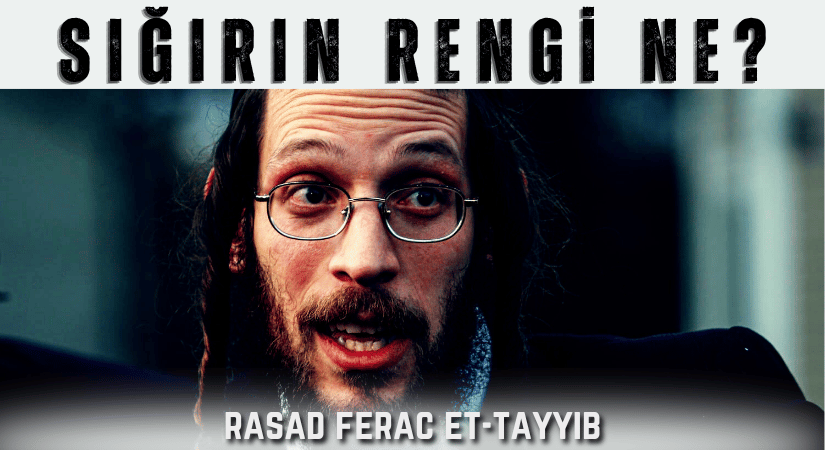 Raşad Ferac Et-Tayyib: Sığırın Rengi Ne?
