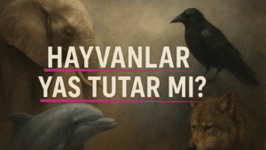 HAYVANLAR YAS TUTAR MI?
