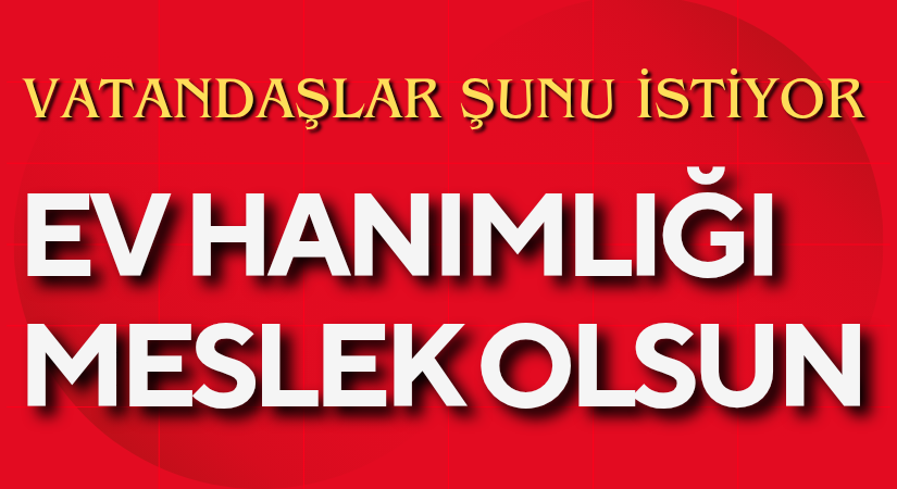 Ev Hanımlığı Meslek Olsun