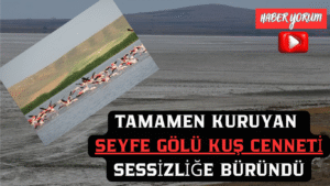 Tamamen Kuruyan Seyfe Gölü Kuş Cenneti Sessizliğe Büründü