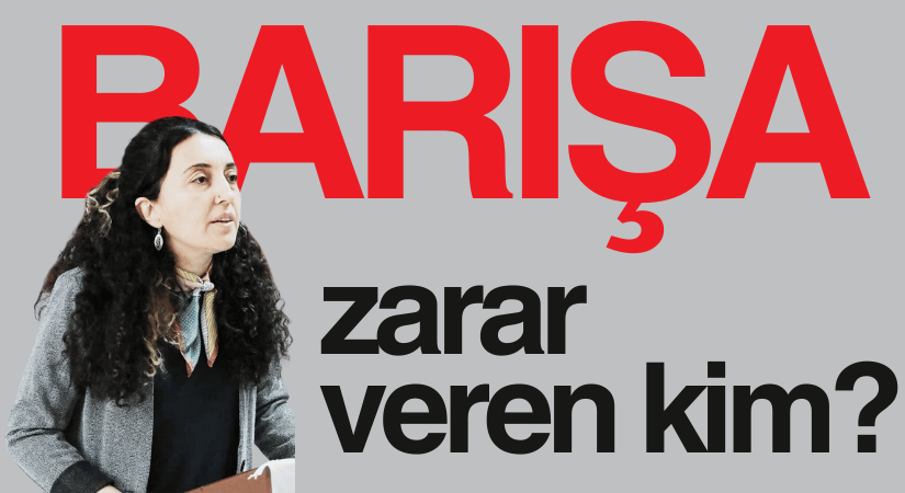 DEM Parti Sözcüsü Ebru Günay: Barış Zarar Görebilir!