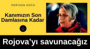 DEM Parti Milletvekili Perihan Koca, Toplumu Kışkırtıyor