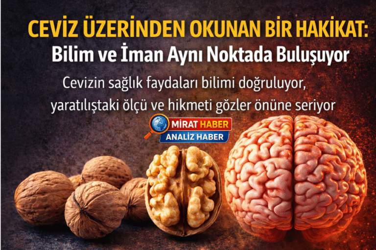 Ceviz Üzerinden Okunan Bir Hakikat: Bilim ve İman Aynı Noktada Buluşuyor