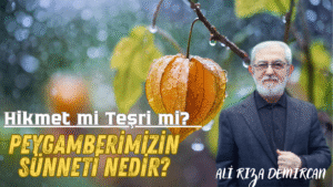Hikmet mi Teşri mi?  PEYGAMBERİMİZİN SÜNNETİ NEDİR?