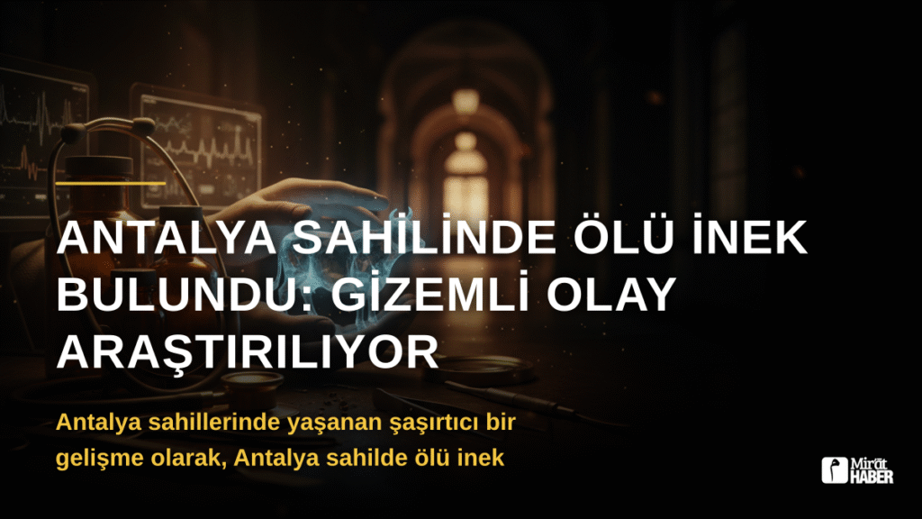 Antalya Sahilinde Ölü İnek Bulundu: Gizemli Olay Araştırılıyor