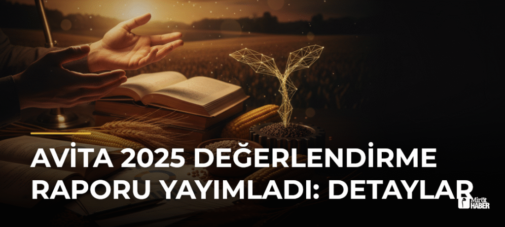 AVİTA 2025 Değerlendirme Raporu Yayımladı: Detaylar