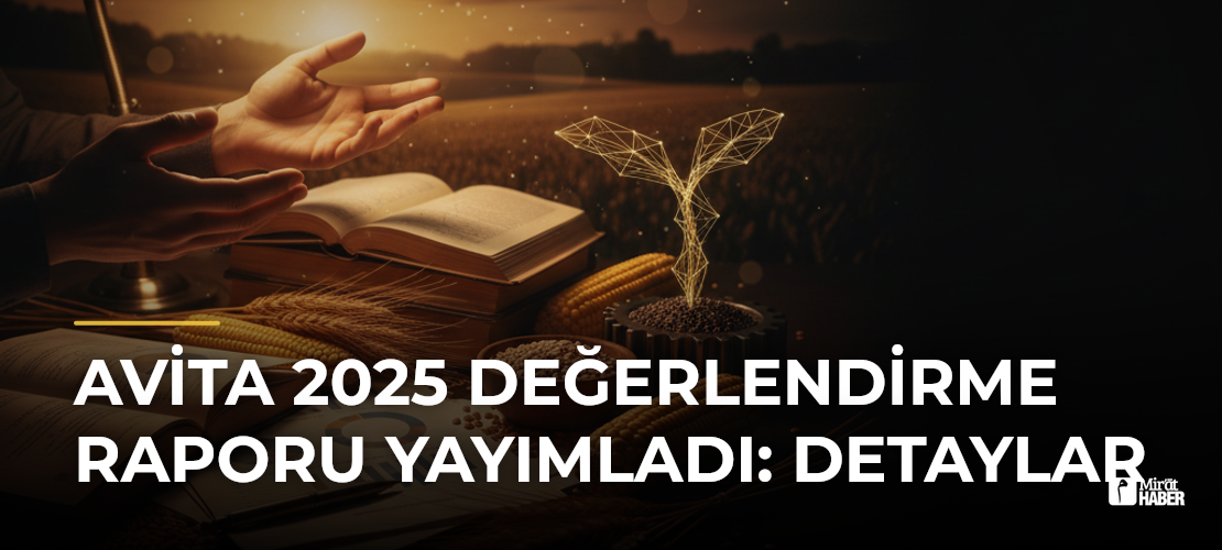 AVİTA 2025 Değerlendirme Raporu Yayımladı: Detaylar