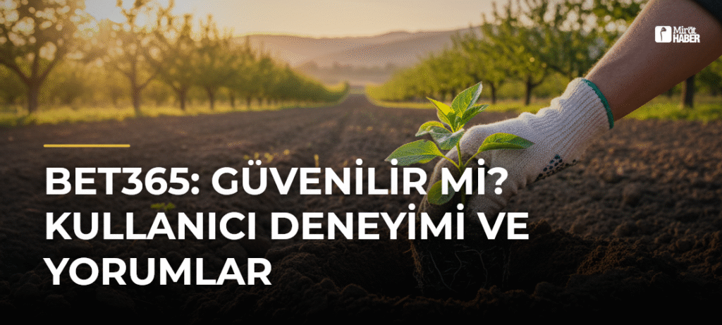bet365: Güvenilir mi? Kullanıcı Deneyimi ve Yorumlar