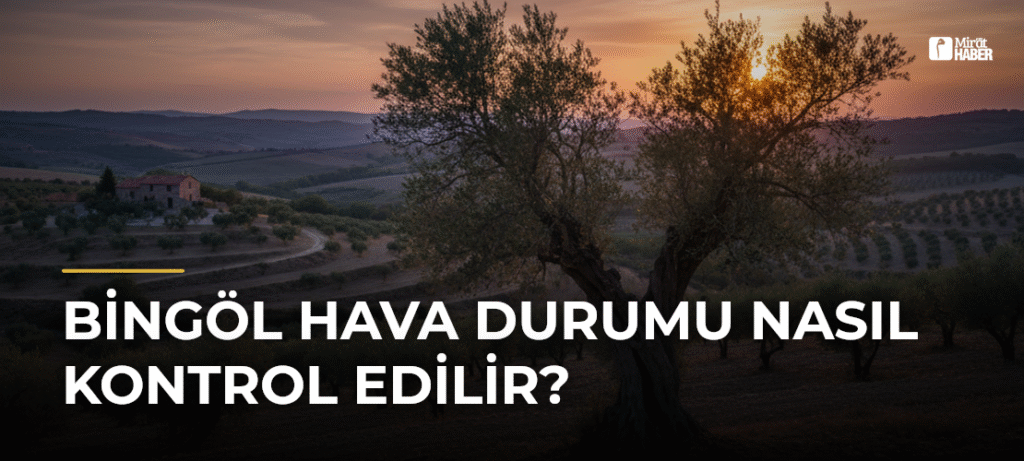 Bingöl Hava Durumu Nasıl Kontrol Edilir?
