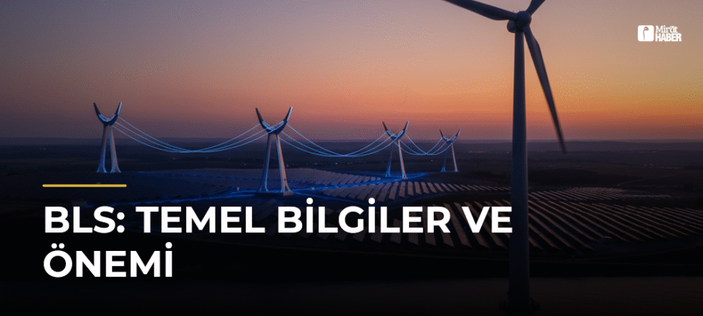BLS: Temel Bilgiler ve Önemi