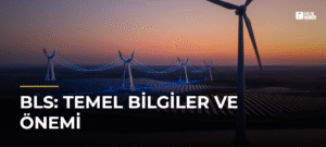 BLS: Temel Bilgiler ve Önemi