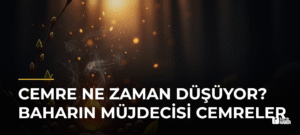 Cemre Ne Zaman Düşüyor? Baharın Müjdecisi Cemreler