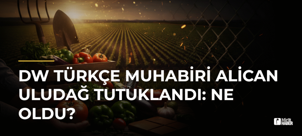 DW Türkçe Muhabiri Alican Uludağ Tutuklandı: Ne Oldu?