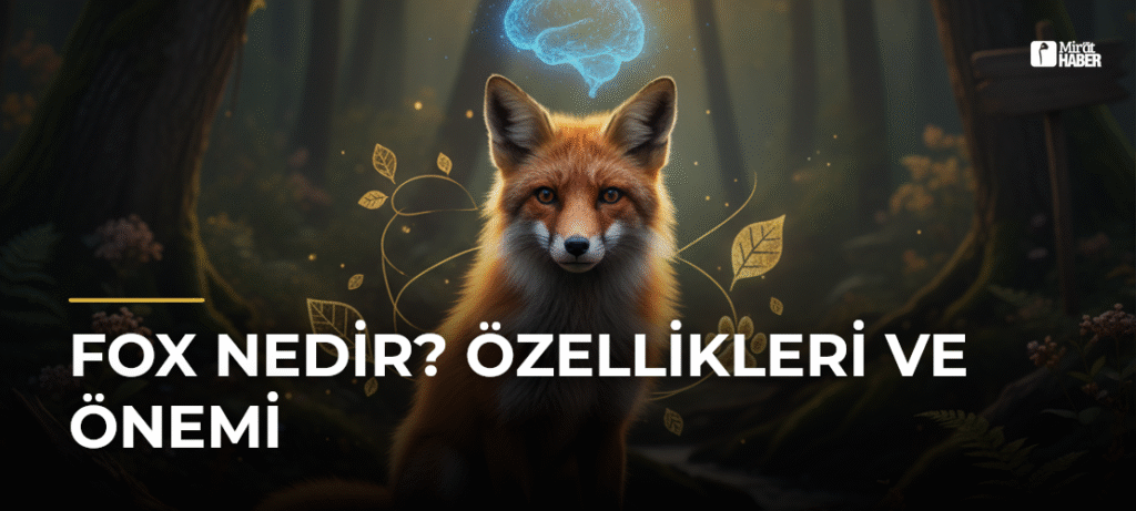 Fox Nedir? Özellikleri ve Önemi