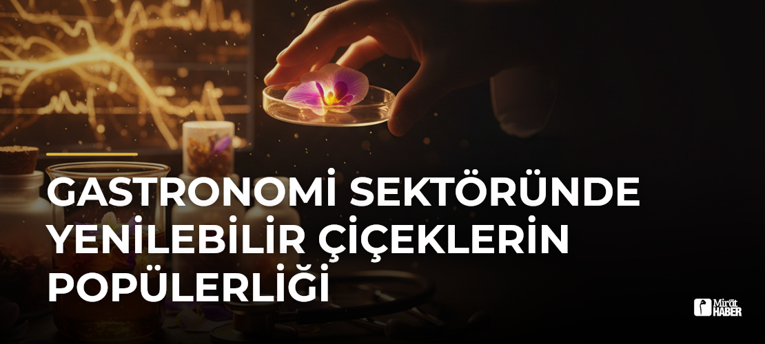 Gastronomi Sektöründe Yenilebilir Çiçeklerin Popülerliği