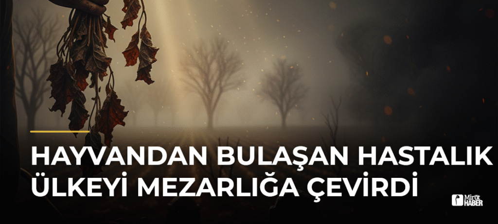 Hayvandan Bulaşan Hastalık Ülkeyi Mezarlığa Çevirdi
