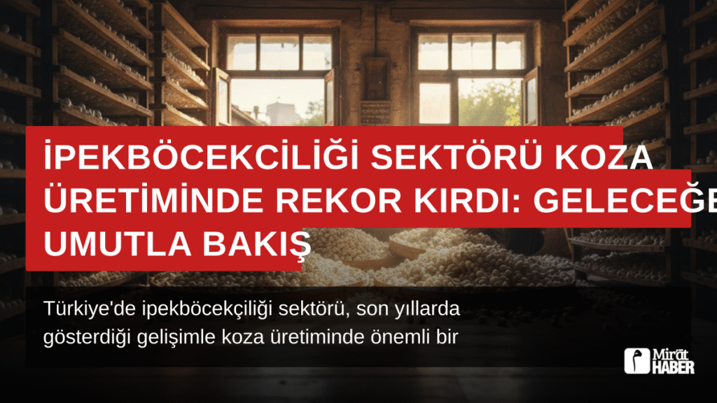 İpekböcekçiliği Sektörü Koza Üretiminde Rekor Kırdı: Geleceğe Umutla Bakış