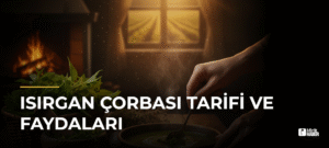 Isırgan Çorbası Tarifi ve Faydaları