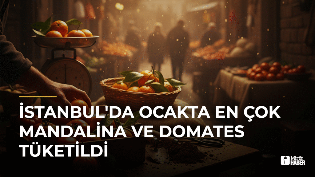 İstanbul’da Ocakta En Çok Mandalina ve Domates Tüketildi