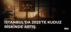 İstanbul’da 2025’te Kuduz Riskinde Artış
