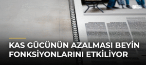 Kas Gücünün Azalması Beyin Fonksiyonlarını Etkiliyor