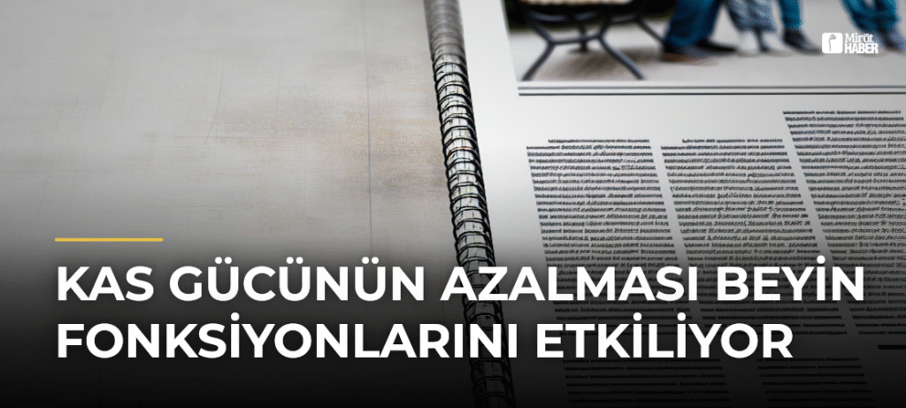 Kas Gücünün Azalması Beyin Fonksiyonlarını Etkiliyor