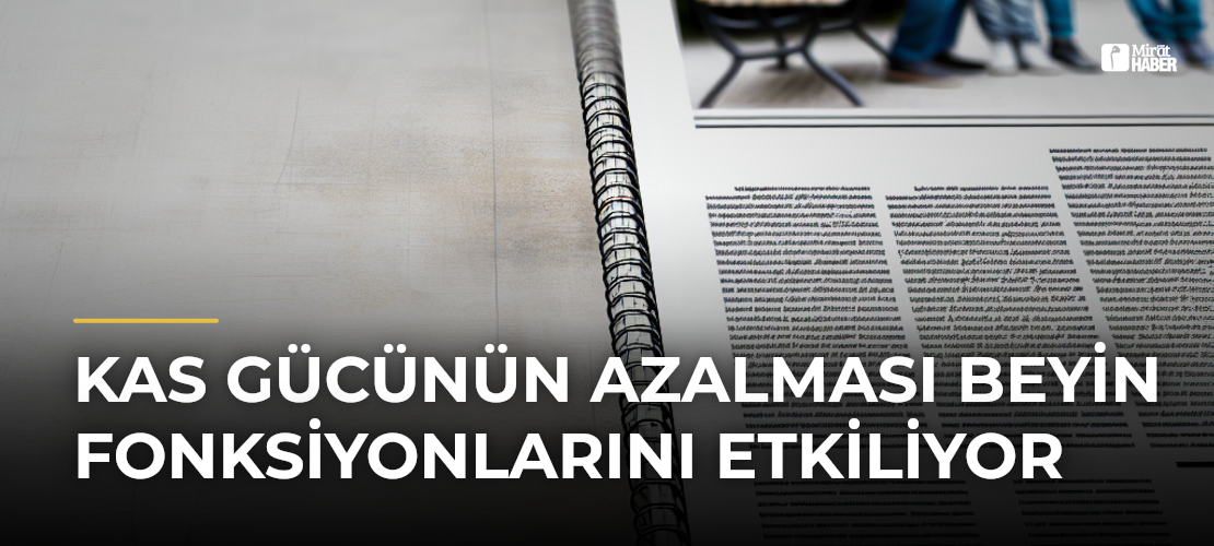 Kas Gücünün Azalması Beyin Fonksiyonlarını Etkiliyor