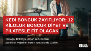 Kedi Boncuk Zayıflıyor: 12 Kiloluk Boncuk Diyet ve Pilatesle Fit Olacak