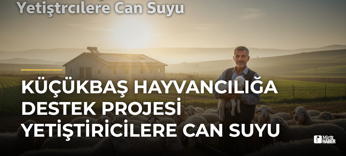 Küçükbaş Hayvancılığa Destek Projesi Yetiştiricilere Can Suyu - Mirat Haber