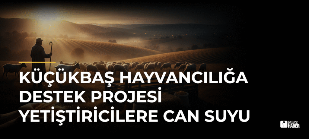Küçükbaş Hayvancılığa Destek Projesi Yetiştiricilere Can Suyu