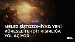 Melez Şiştozomiyaz: Yeni Küresel Tehdit Kısırlığa Yol Açıyor