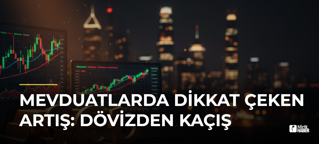 Mevduatlarda Dikkat Çeken Artış: Dövizden Kaçış