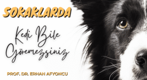 Erhan Afyoncu’dan Sokak Hayvanları Açıklaması