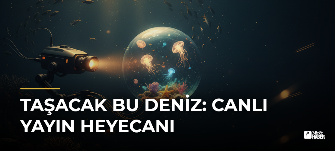 Taşacak Bu Deniz: Canlı Yayın Heyecanı