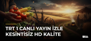 TRT 1 Canlı Yayın İzle Kesintisiz HD Kalite