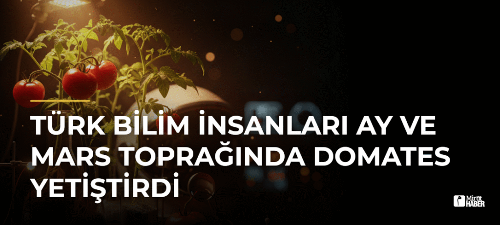 Türk Bilim İnsanları Ay ve Mars Toprağında Domates Yetiştirdi