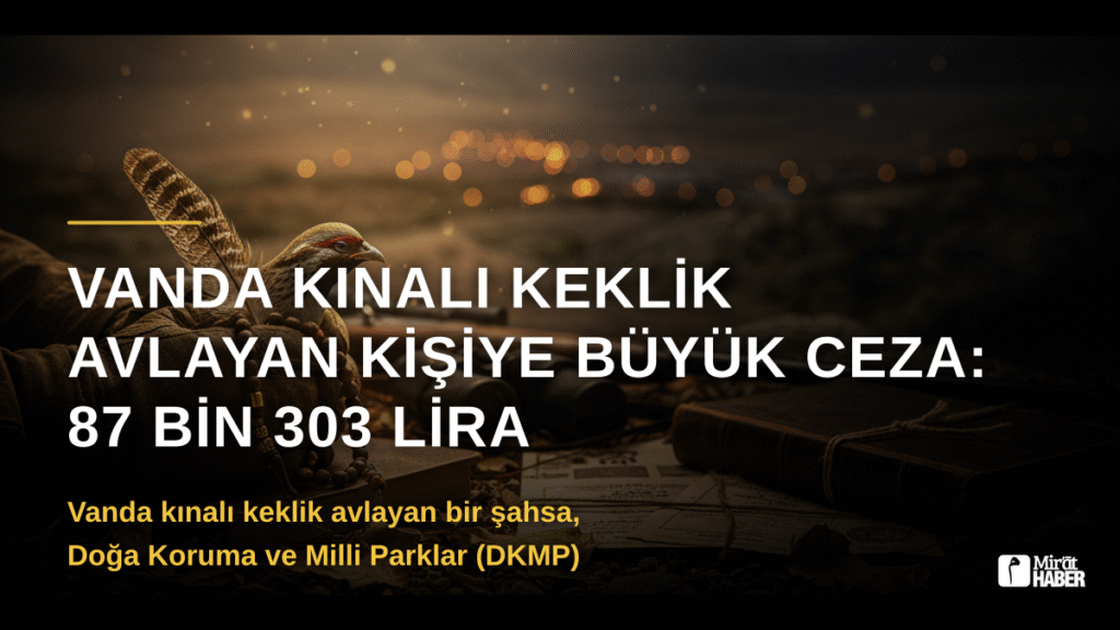 Vanda Kınalı Keklik Avlayan Kişiye Büyük Ceza: 87 Bin 303 Lira